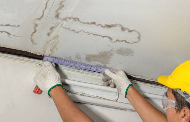 Reliable Basement Water Removal contractor in Stockbridge, MI by Water Damage Irwin